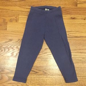 Little Girls GAP Leggings in Cornflower Blue Size XXS